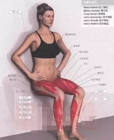 练习瑜伽缓解膝关节炎多图展示