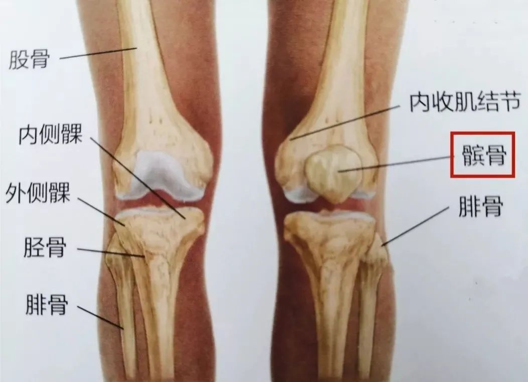 膝关节炎症状和常见治疗方法
