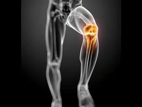 膝盖疼痛不运动就好了吗?膝盖疼是不是应该减少运动?
